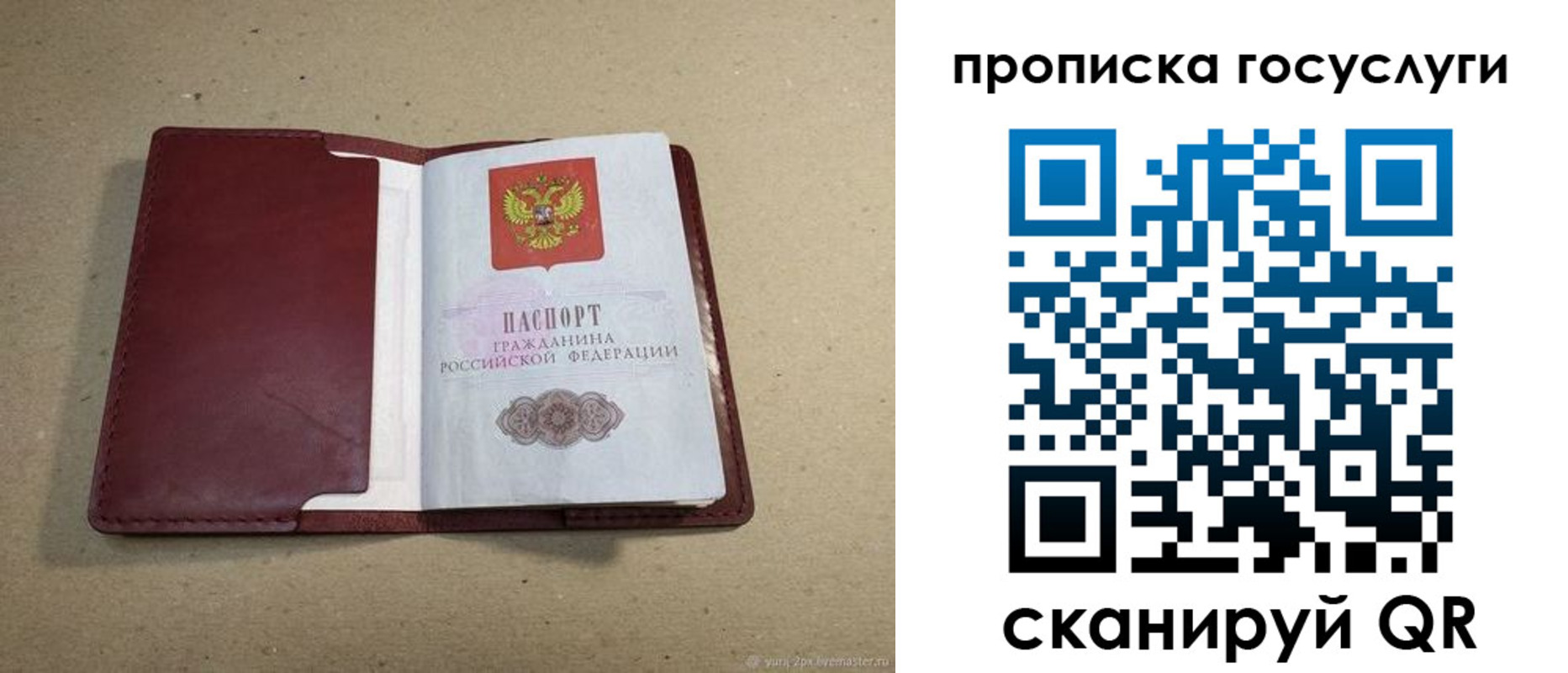прописка поиск в Ртищево